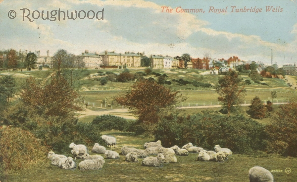 Tunbridge Wells - Common & Mount Ephraim