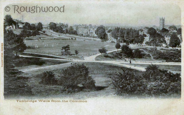 Tunbridge Wells - Common