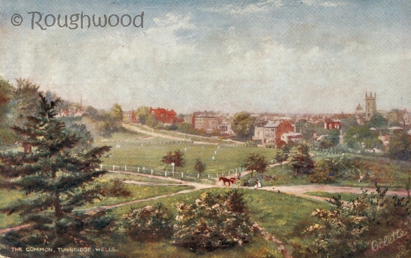 Tunbridge Wells - Common