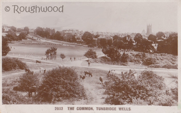 Tunbridge Wells - Common