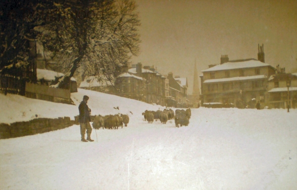 Tunbridge Wells - London Road (Sheep & Snow)
