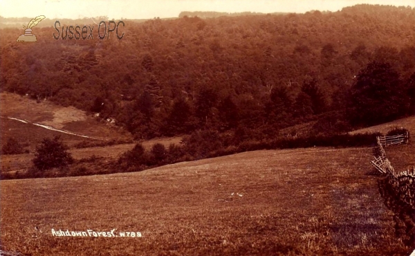 Image of Ashdown Forest