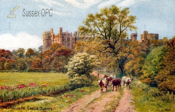 Image of Arundel - The Castle