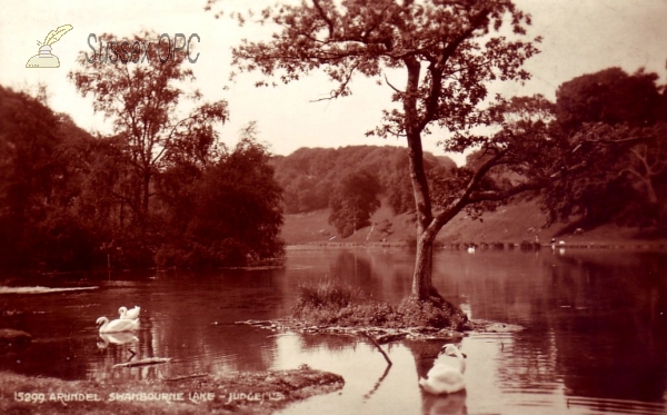 Image of Arundel - Swanbourne Lake