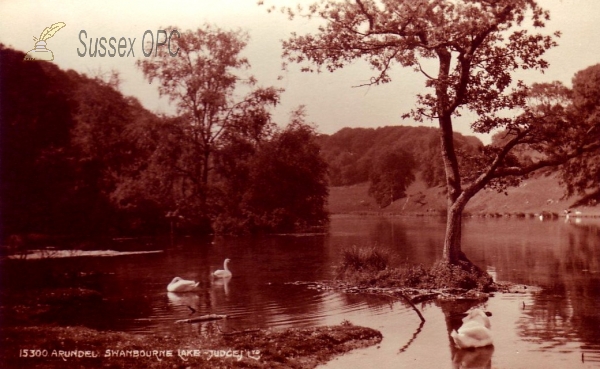 Arundel - Swanbourne Lake