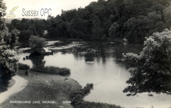 Image of Arundel - Swanbourne Lake