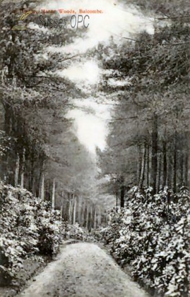 Image of Balcombe - Highley Manor Woods