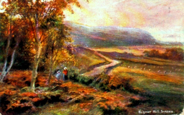 Image of Bignor - Bignor Hill