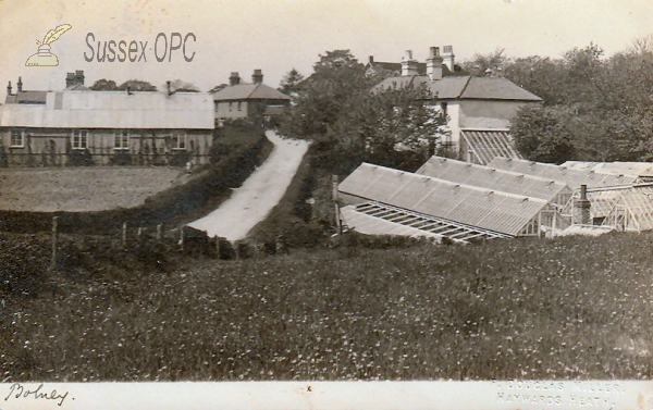 Image of Bolney - Street & Greenhouses