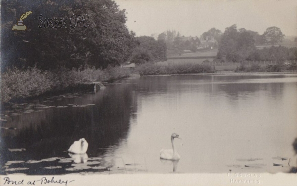 Image of Bolney - Pond