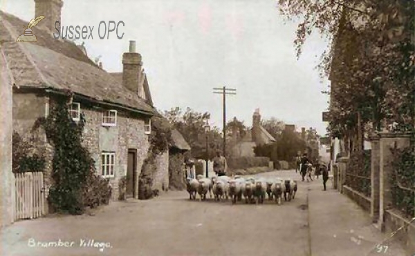 Image of Bramber - The Village (sheep)