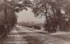 Thumbnail of an image