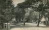 Thumbnail of an image
