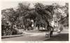 Thumbnail of an image
