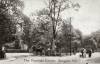 Thumbnail of an image