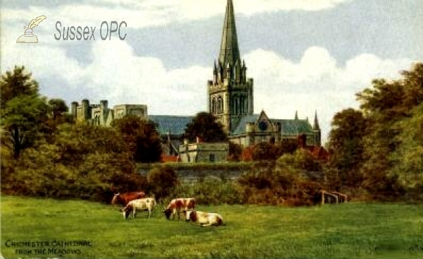 Image of Chichester - The Cathedral from the meadows