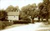 Thumbnail of an image