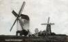 Thumbnail of an image