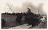 Thumbnail of an image
