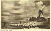 Thumbnail of an image