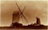 Thumbnail of an image