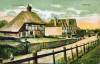 Thumbnail of an image