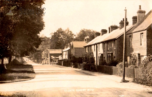 Image of Tilgate - Forest Row