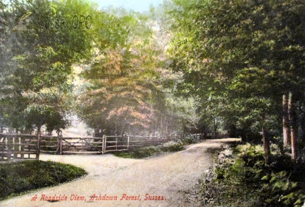 Image of Ashdown Forest - Roadside View