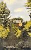 Thumbnail of an image