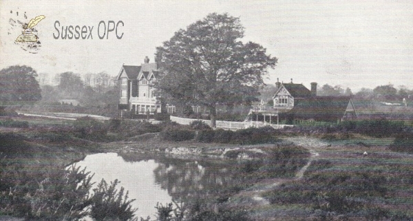 Image of Forest Row - Ashdown Forest Ladies' Golf Club