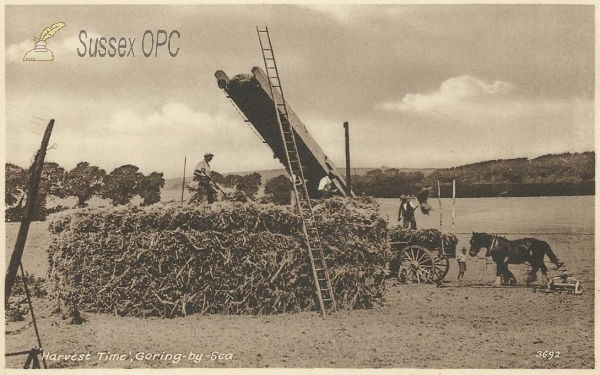Image of Goring - Harvest Time