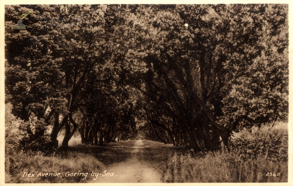 Image of Goring - Ilex Avenue