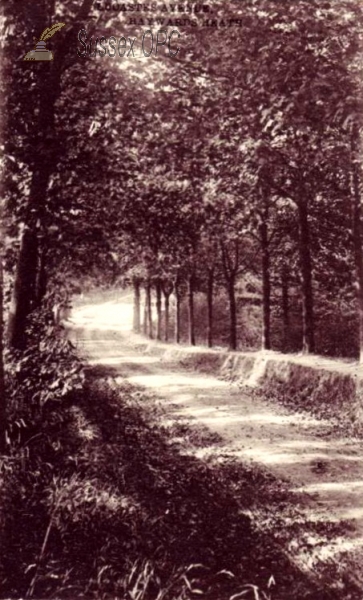 Image of Haywards Heath - Lucastes Avenue