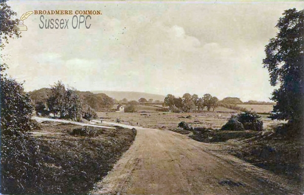Image of Henfield - Broadmere Common