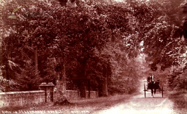 Image of Horsham - Road in St Leonard's Forest