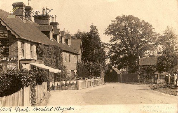 Image of Horsted Keynes - Ash Grove