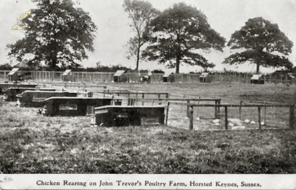 Image of Horsted Keynes - John Trevor's Poultry Farm