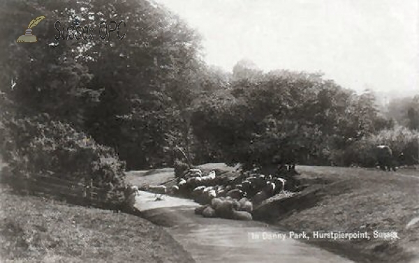 Image of Hurstpierpoint - Danny Park