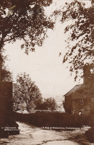 Image of Hurstpierpoint - A Peep at Wolstonbury Hill