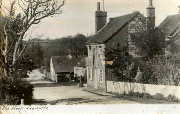 Image of Lindfield - The Sloop