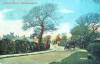 Thumbnail of an image