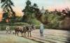 Thumbnail of an image
