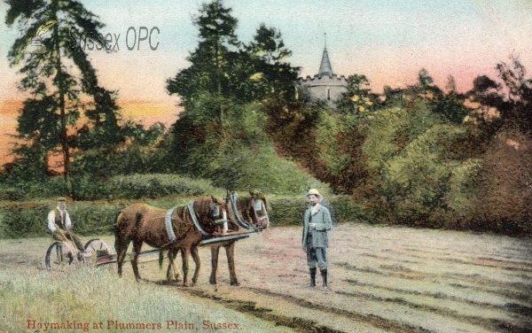 Image of Plummers Plain - Haymaking (Holy Trinity Church)
