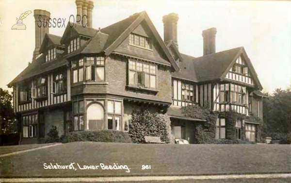 Image of Lower Beeding - Selehurst