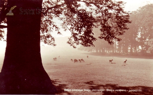 Image of MIdhurst - Cowdray Park