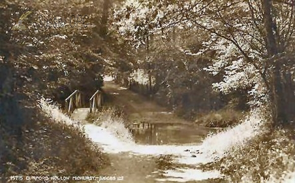 Image of Midhurst - Dunsford Hollow