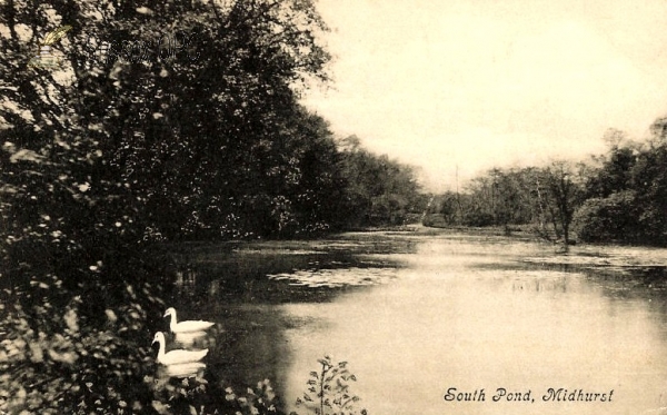 Image of Midhurst - South Pond