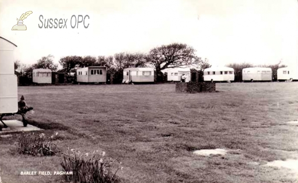 Image of Pagham -  Barley Field