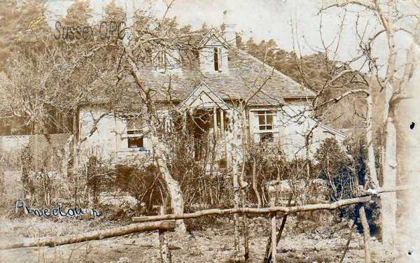 Image of Patching - Pinedown