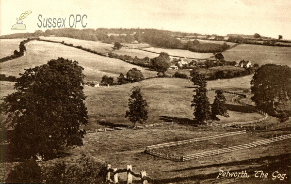 Image of Petworth - The Gog